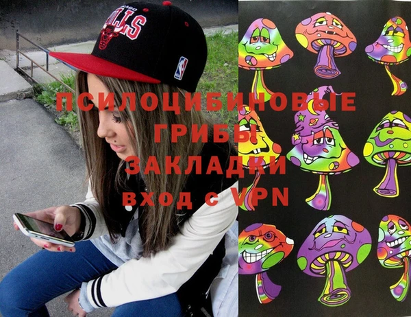 молекула духа Дмитров