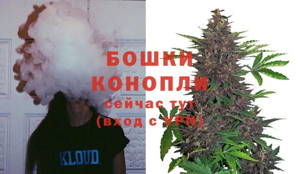 мескалин Дмитриев