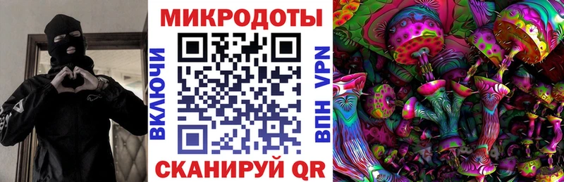 Купить закладки  Рудня  Псилоцибиновые грибы MAGIC MUSHROOMS 